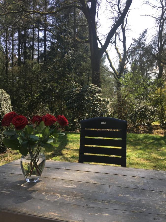 Geschakelde Bungalow Op De Veluwe "De Eekhoorn" Otterlo Extérieur photo